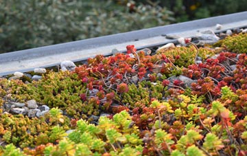 the cost of St Austins green roof installation