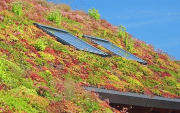 St Austins living roof systems