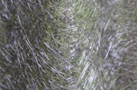 St Austins fibreglass roof work